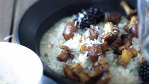 Rezepte aus Christian Rachs Gästebuch Pfifferlingsrisotto mit Brombeeren
