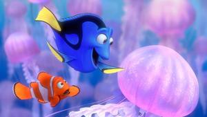 RTL Kinosommer am Samstag um 20.15 Uhr: "Findet Nemo" Marlin und Dorie suchen den kleinen Nemo im Ozean