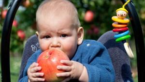 Wie schnell verschwinden Vitamine? Vitamine