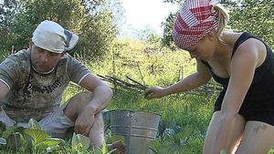 Quiz: Sind Sie der geborene Farmer? 