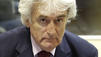 Karadzic: Prozess erneut unterbrochen