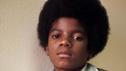 Michael Jacksons beispiellose Karriere