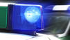 Wildschwein-Alarm in Hamburg