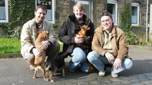 Chat mit dem Hundeprofi-Team