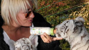 Sarah Connor und die Tigerbabys