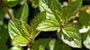 Reisekrankheit: Das hilft Ihnen