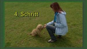 4 Schritte zum Ziel