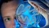 Video: Superbakterium breitet sich aus