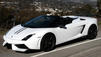 Gallardo Spyder: Hungerk&uuml;nstler mit Macho-Manieren