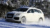 Audi Q7 V12 TDI: Zw&ouml;lfender auf schneebedeckter Lichtung