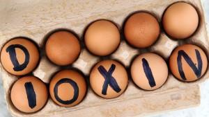 Dioxin-Eier: Die wichtisten Fragen und Antworten Dioxin in Eiern gefunden