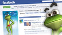 DSDS 2012 Frosch Freddy bei Facebook