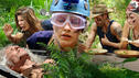 Hier gibt's die Camp-Highlights Alle Dschungel-Videos im Überblick