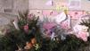 Diabetes: Lalita (9) sprang in den Tod