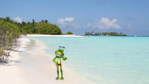 DSDS-Frosch Freddy: Auf zu neuen Ufern und die Malediven genießen DSDS-Frosch Freddy auf den Malediven