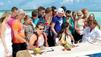 DSDS 2011: Diese Top 15 sind in der ersten Liveshow