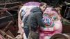 Was macht der rosa Kopf bei Countdown