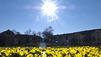 Kaiserwetter zum Fr&uuml;hlingsanfang