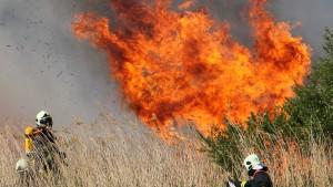 Wann kommt der erlösende Regen zu Ihnen? In der Nähe von Rostock brannte diese Schilfrohrfeld nieder. In ganz Deutschland herrscht wegen der anhaltenden Trockenheit große Brandgefahr.