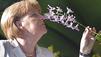 Eine Orchidee namens Angela Merkel