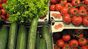 Gurken, Tomaten und Salat sind wieder gefragt