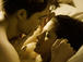 Wie geht es weiter mit Bella und Edward?