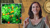 Ulrike Franks Urlaubsbilder