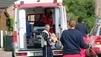 Ganzer Wespenschwarm attackiert Kinder