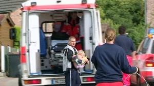 Ganzer Wespenschwarm attackiert Kinder Ein Wespenschwarm attackierte Kinder und Eltern.