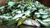 Essen: Unbekanntes Gift t&ouml;tet Tausende Fische