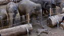 Ergreifende Bilder aus dem Münchner Zoo