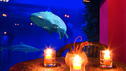 Das RTL Buch-Event im Tropen-Aquarium Hagenbeck