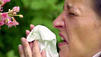 Kreuzallergien: Fiese Zusatzreaktionen dank Pollen