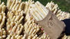 Natursch&uuml;tzer raten vom fr&uuml;hen Kauf des einheimischem Spargel ab