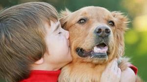 Hundeangriff: So schützen Sie Ihr Kind! Häufig trügt der Schein: Wenn Hunde nicht richtig erzogen sind oder Kinder beim Spielen den Bogen überspannen, können selbst als friedlich geltende Hunderassen zubeißen.