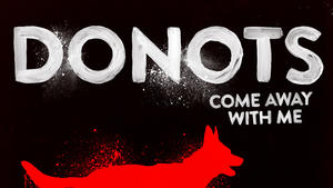 "Come Away With Me" Donots - Single und Album im April