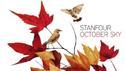 Stanfour: Neues Album