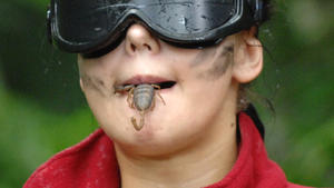 Ihr persönliches Berufshoroskop <b>Arbeitstier: Skorpion</b>