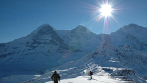 Ihr persönliches Berufshoroskop <b>Systematische Jungfrauen</b>