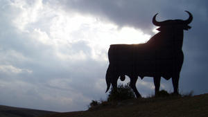 Ihr persönliches Berufshoroskop <b>Auf den Stier ist Verlass</b>