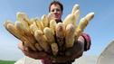 Was Spargel alles kann!