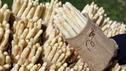 Tolle Rezeptideen für Spargel
