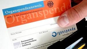 Letzte Hoffnung: Organspende Ein Stück Papier kann Leben retten: Haben Sie einen Organspende-Ausweis?