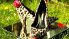 Schuhe selber machen: Aus Alt wird neu!