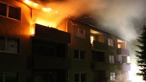 Wohnungsbrand in Bad Gandersheim: Mutter, Sohn und Tochter sterben im Feuer Wohnungsbrand, Bad Gadersheim, Mutter und zwei Kinder sterben