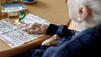 Volkskrankheit Alzheimer: Irren ist menschlich - Alzheimer auch