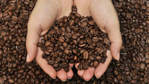 'Öko-Test': So gut ist IHR Kaffee Bohnenkaffee im Test