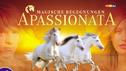 Magische Momente mit Apassionata