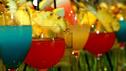 Leckere Cocktail-Rezepte