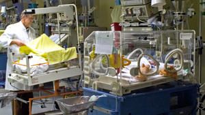 Keime in Frühchenstation der Berliner Charite: Baby stirbt Keime in Frühchenstation der Berliner Charite: Baby stirbt